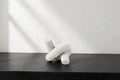 Valencia Knot Sculpture
