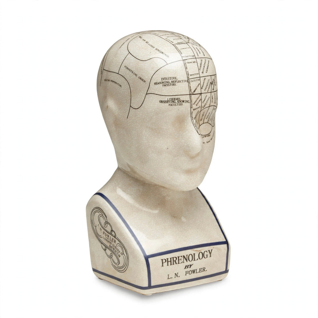 Menton Brain Map Sculpture