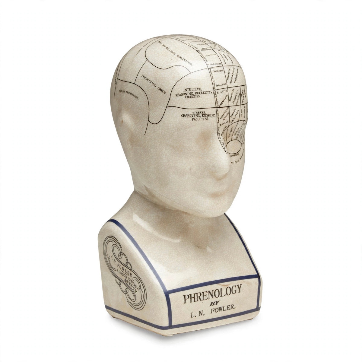Menton Brain Map Sculpture