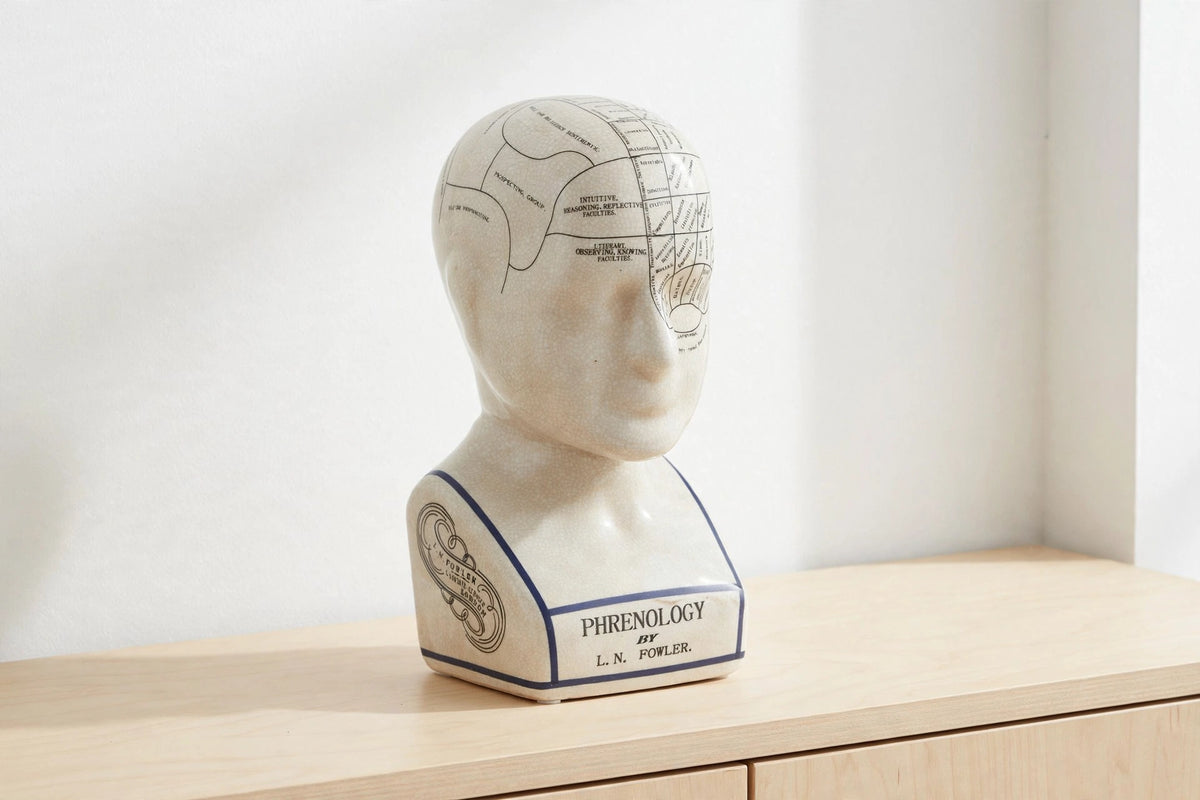 Menton Brain Map Sculpture