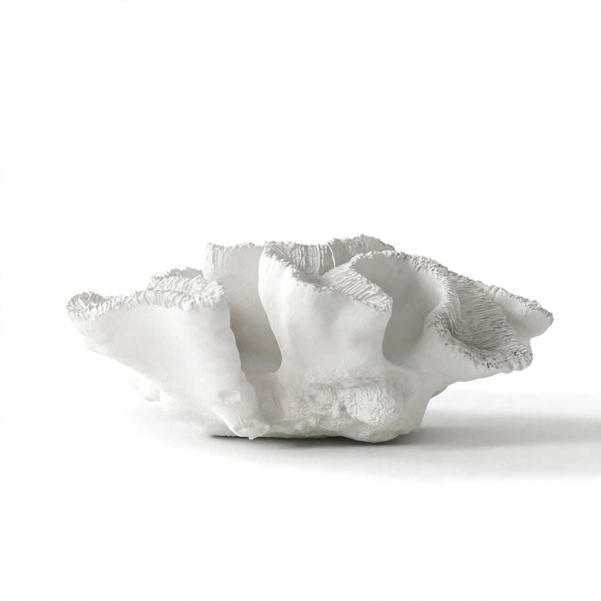 Annecy Coral Sculpture