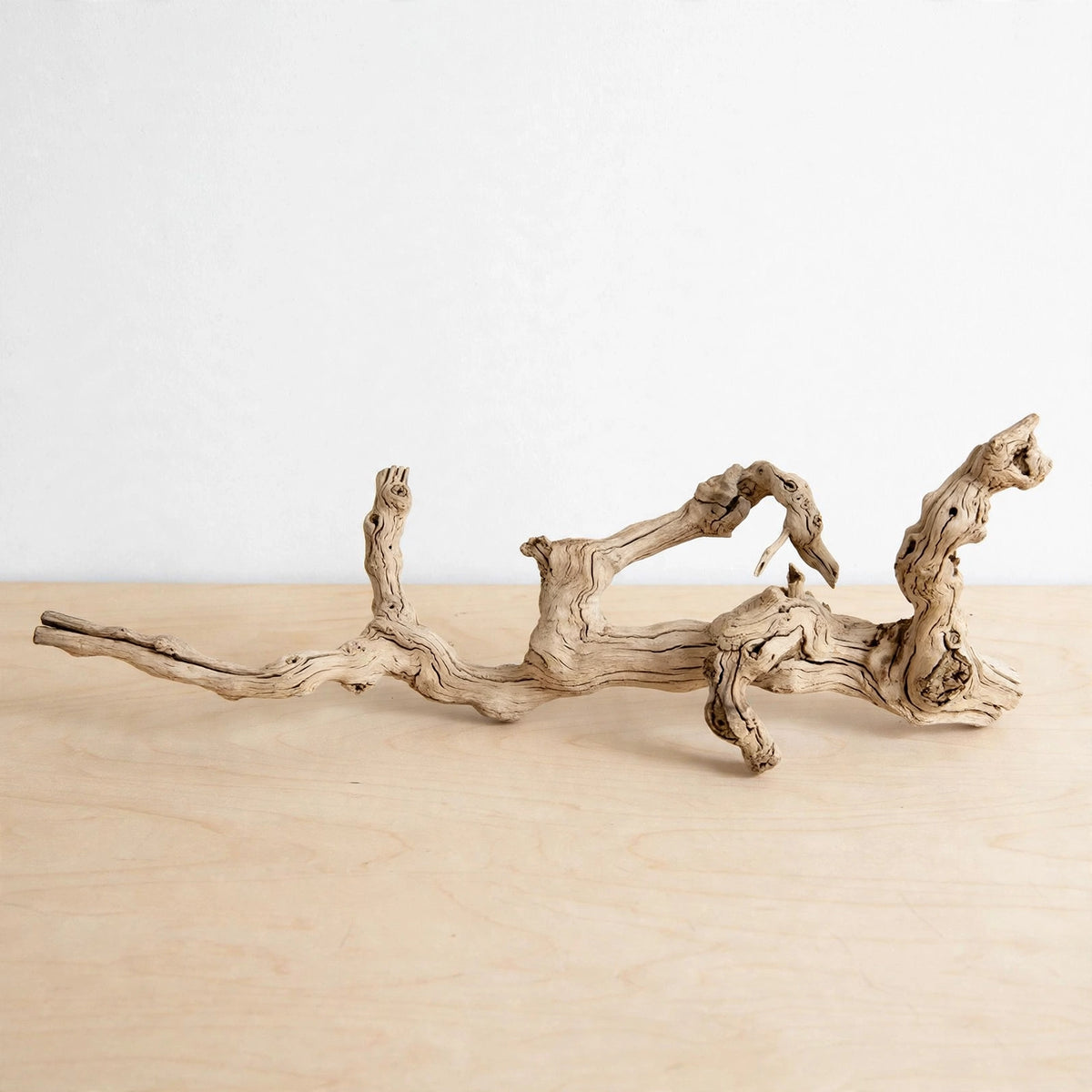 Paros Branch Sculpture