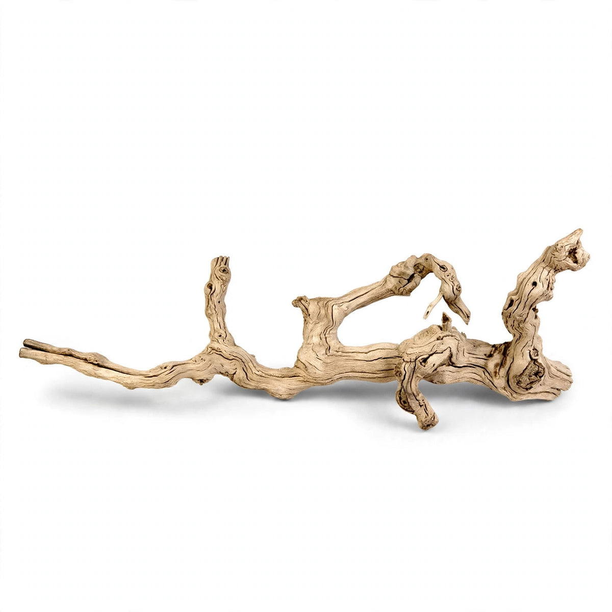 Paros Branch Sculpture