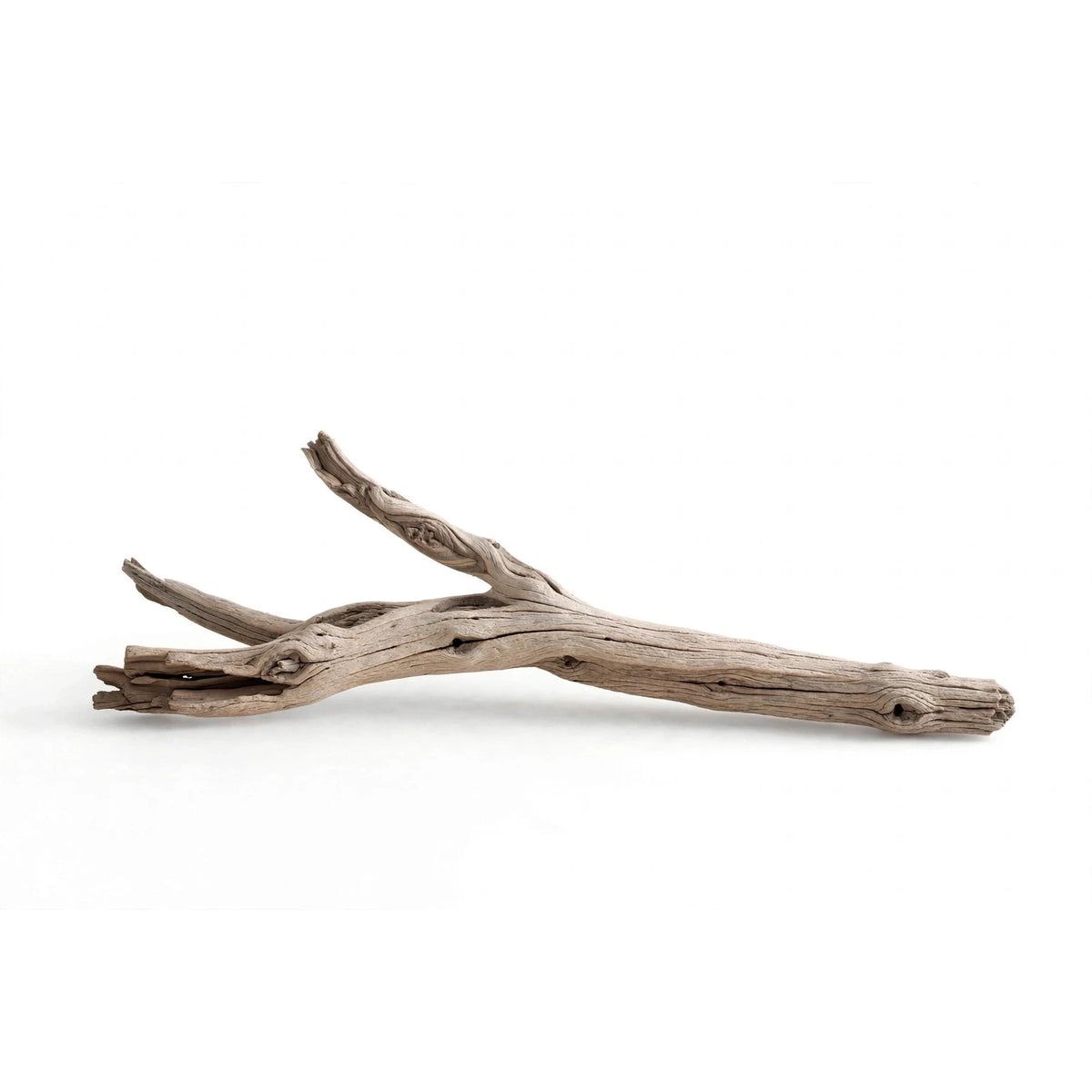 Faial Branch Sculpture