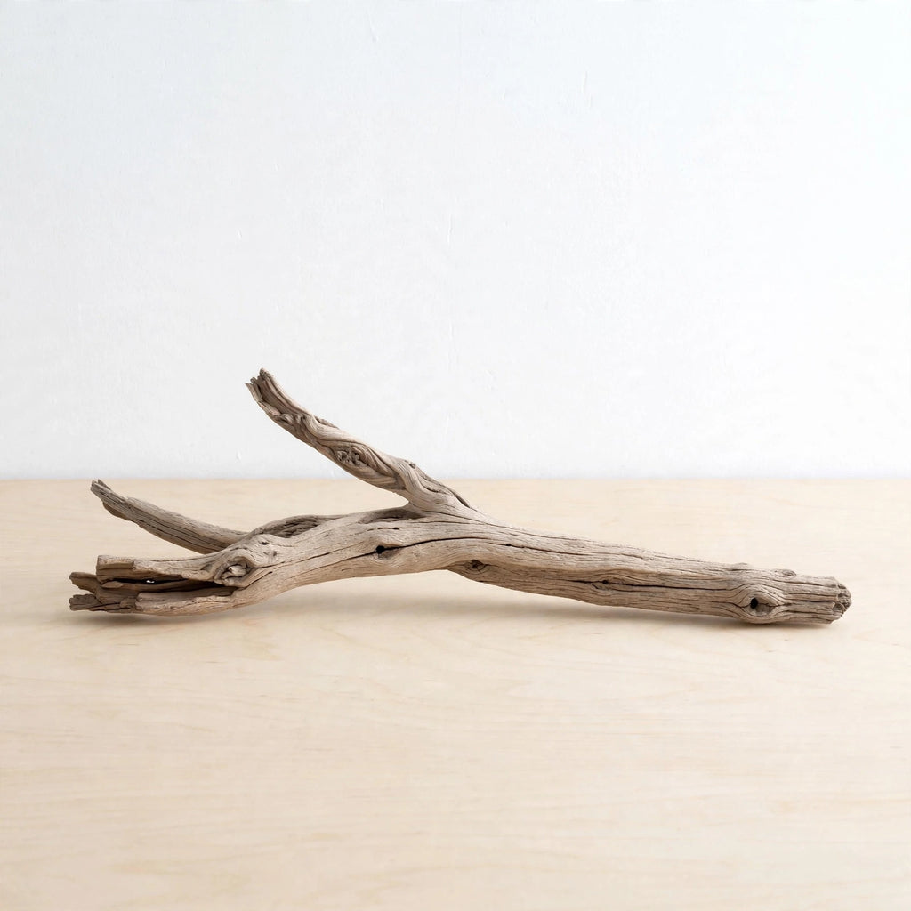 Faial Branch Sculpture