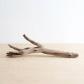 Faial Branch Sculpture