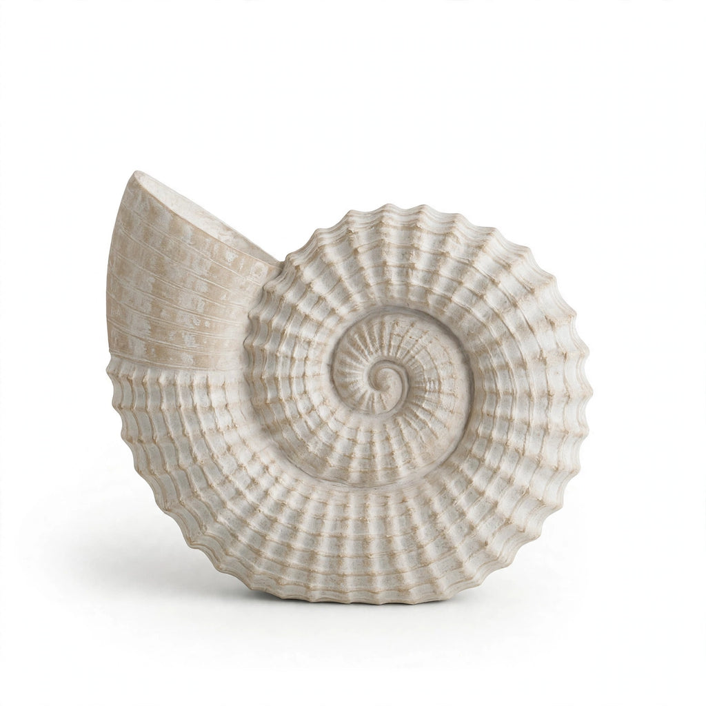 Fiammetta Shell Sculpture