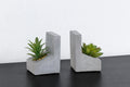 Zephyr Bookends