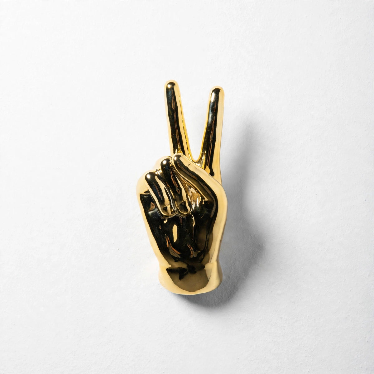 Callosa Hand Wall Hook