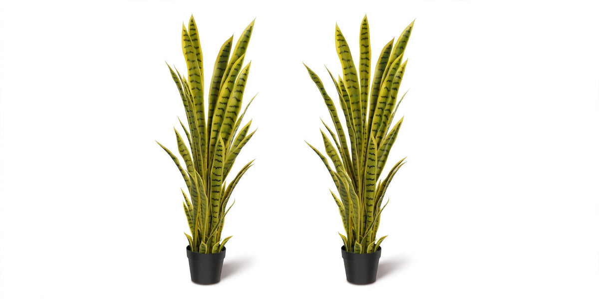 Senufo Plant Set