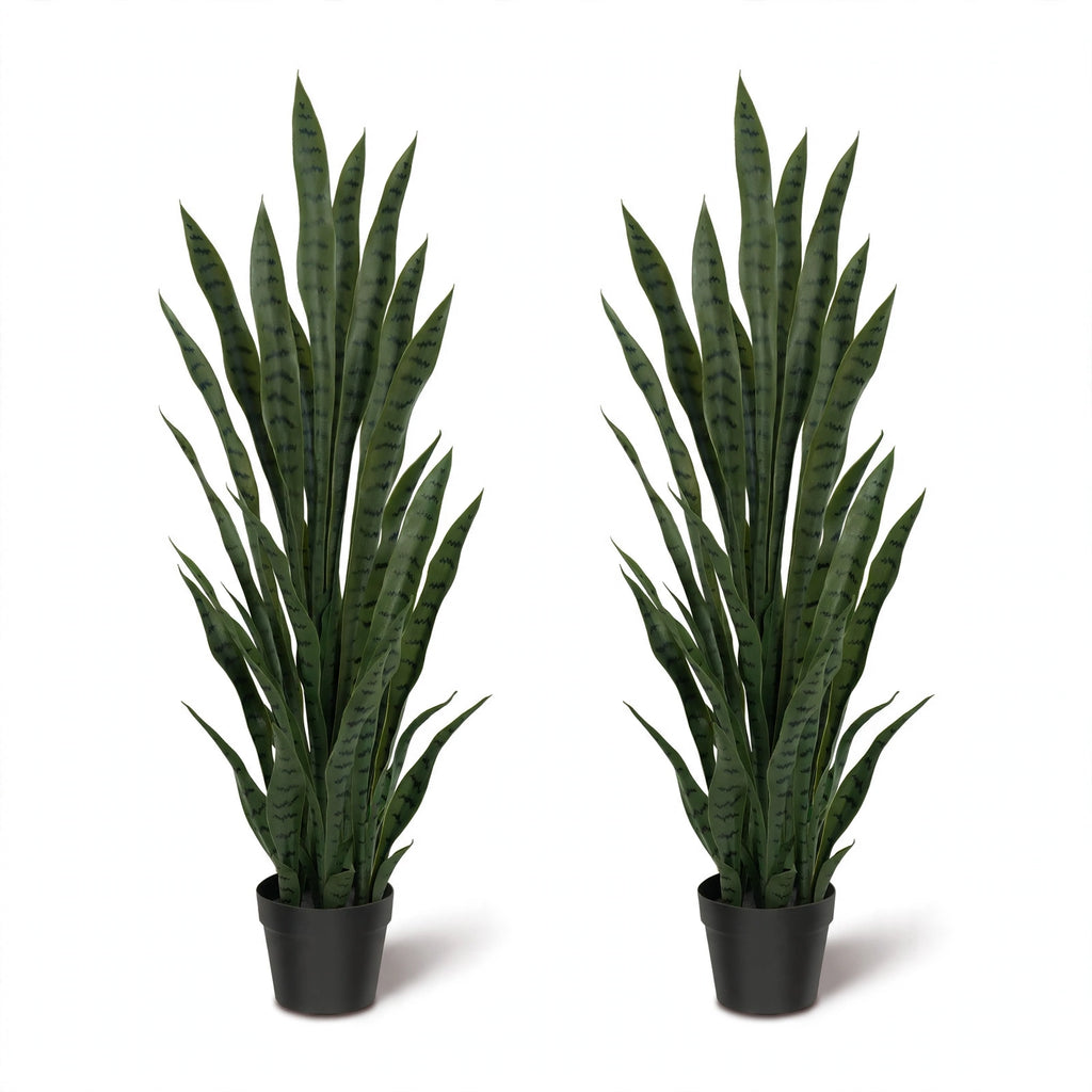 Senufo Plant Set