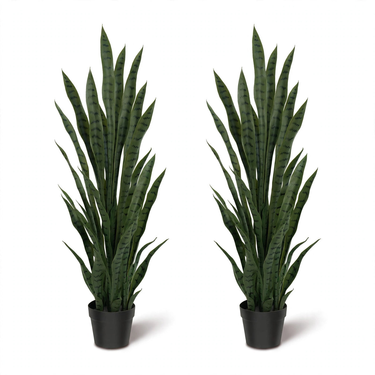 Senufo Plant Set