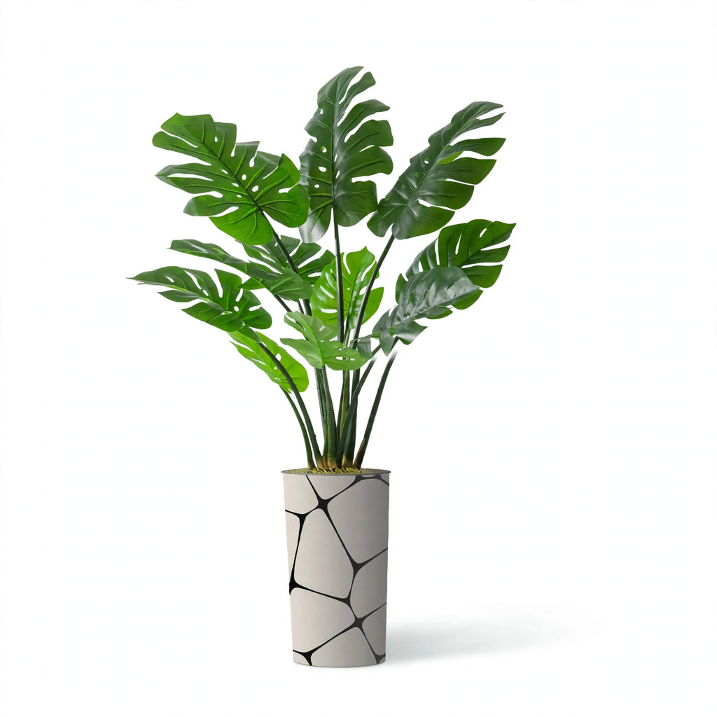 Dune Plant
