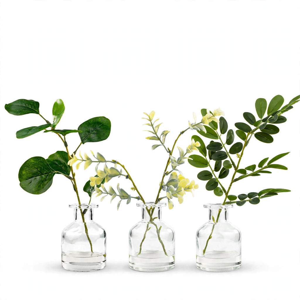 Fauve Plant Set