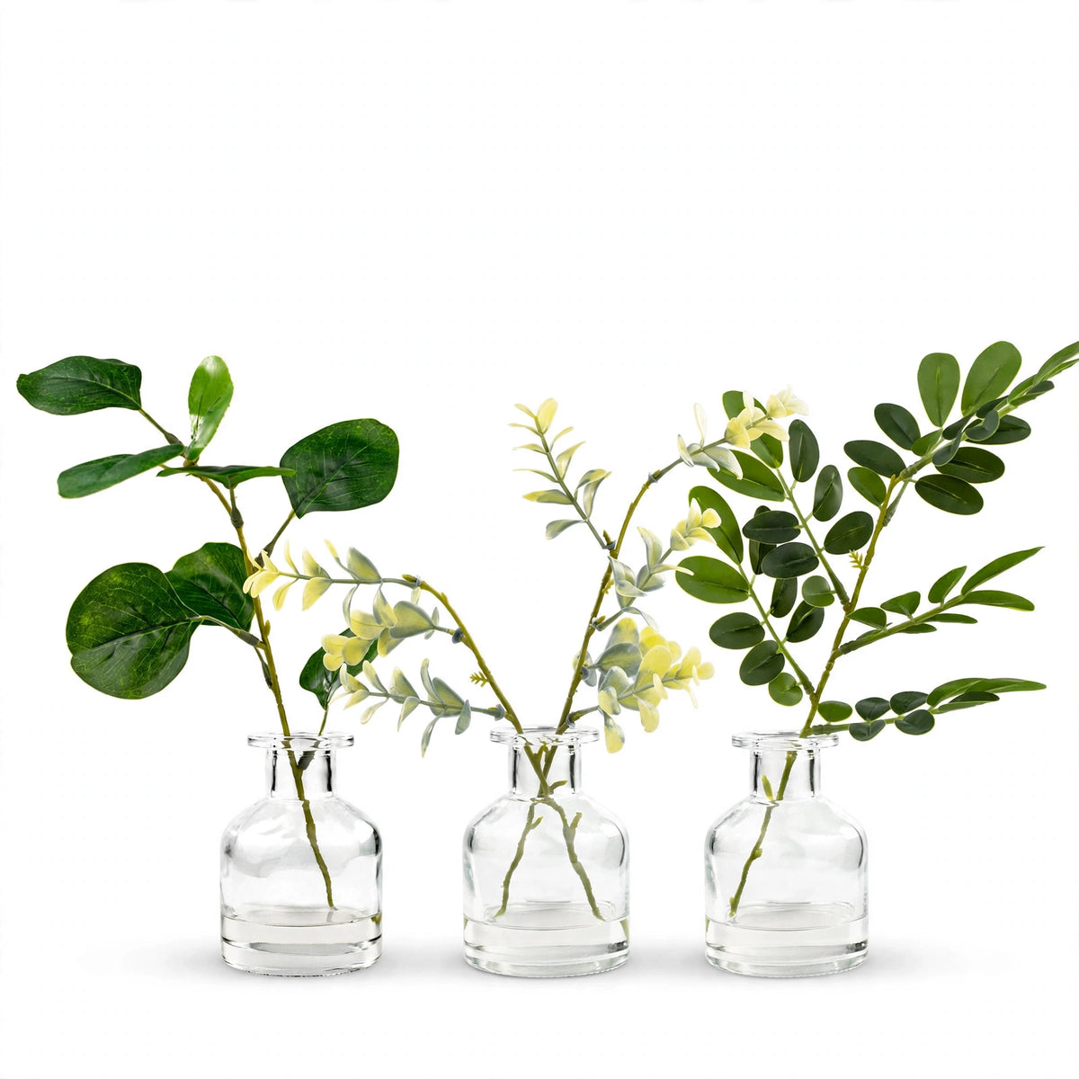 Fauve Plant Set