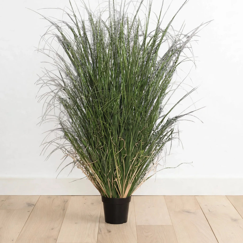 Killarney Plant
