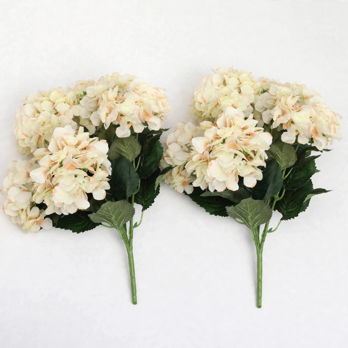 Camellia Flowers