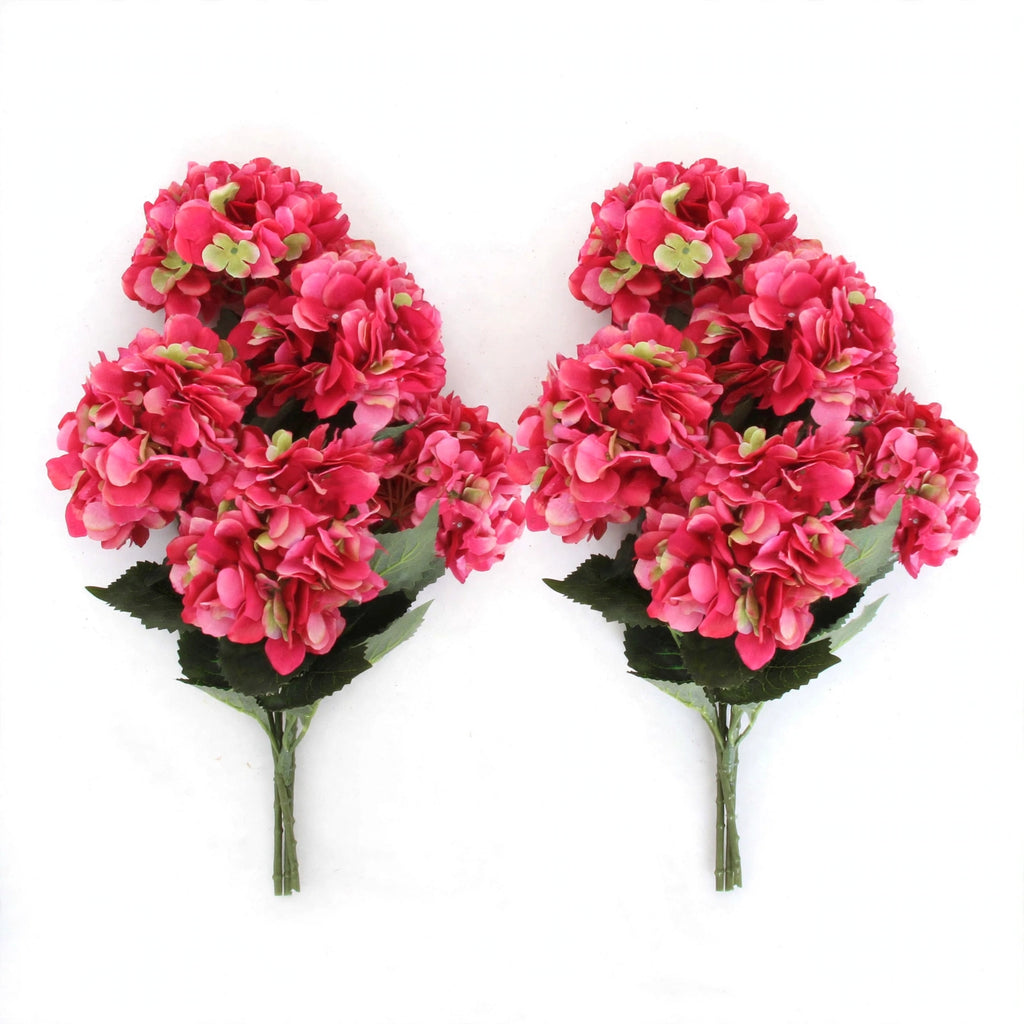 Camellia Flowers