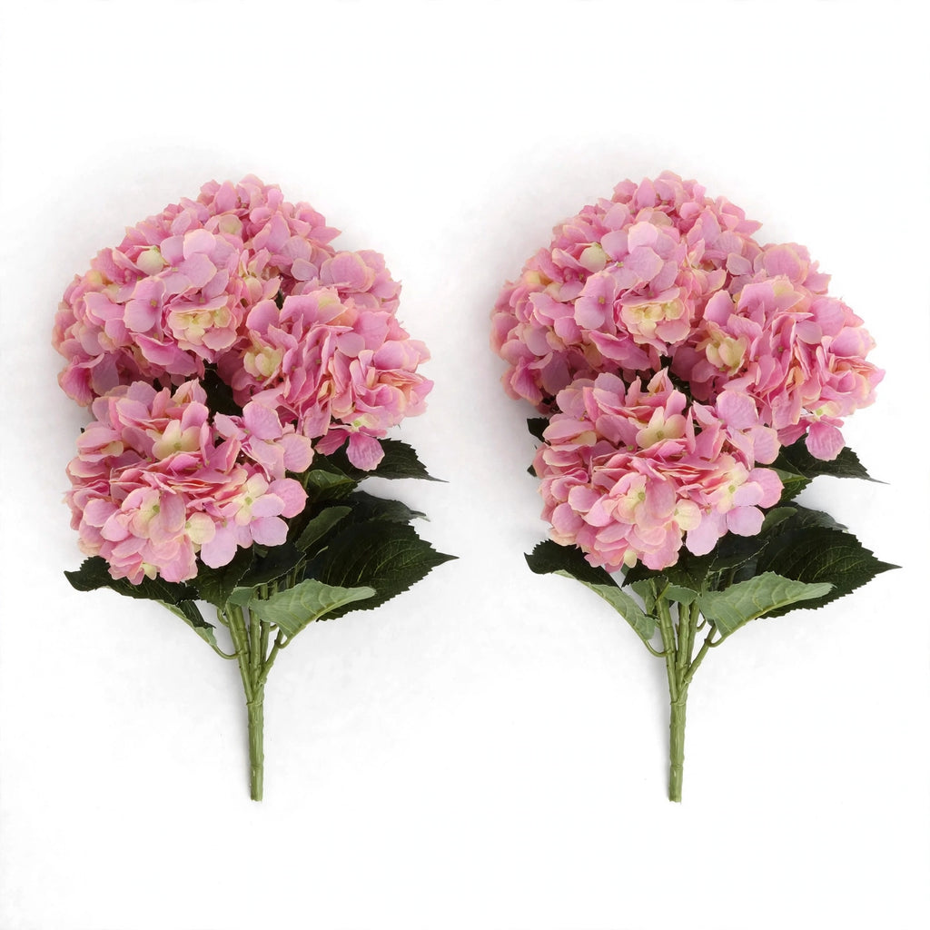 Camellia Flowers