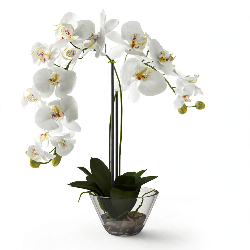 Cahir Flower with Glass Vase