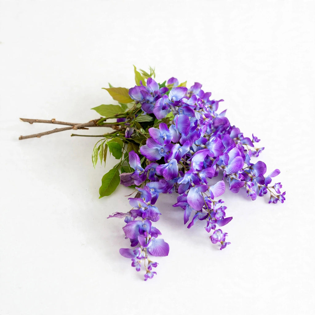 Jasmine Flowers