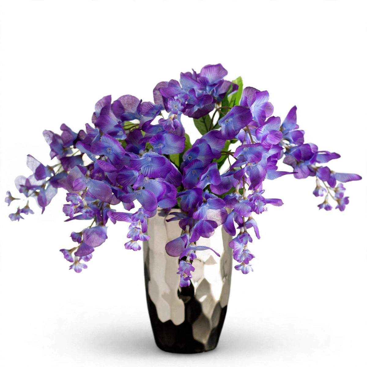 Jasmine Flowers