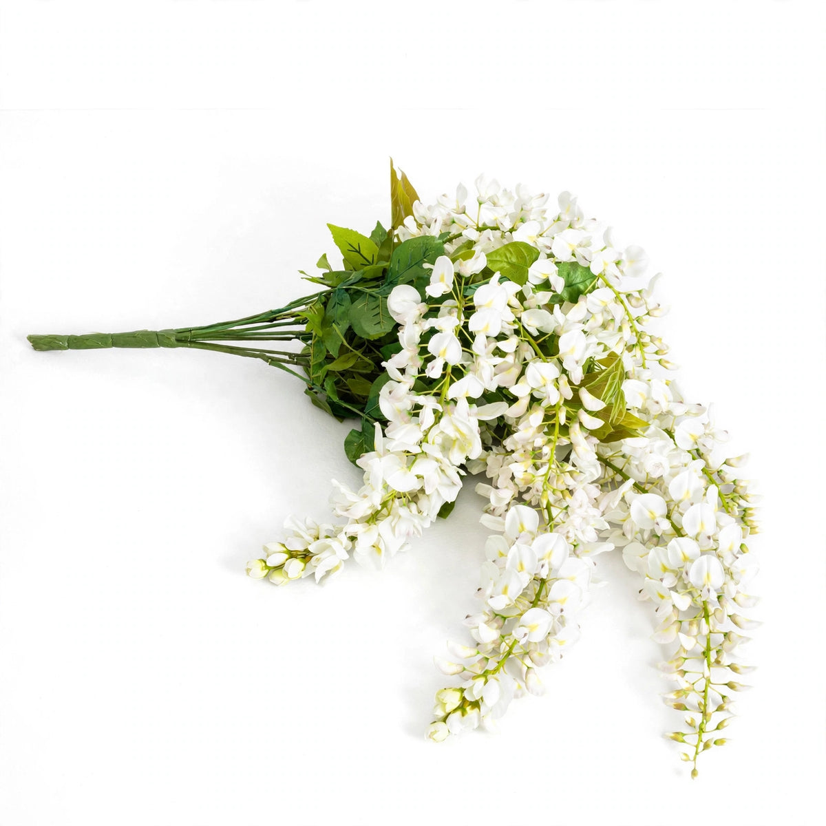Jasmine Flowers