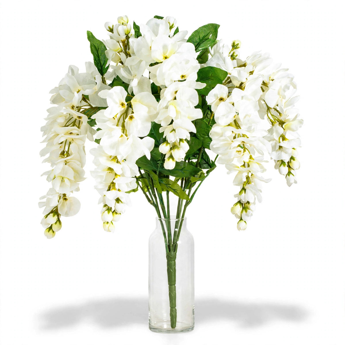 Jasmine Flowers