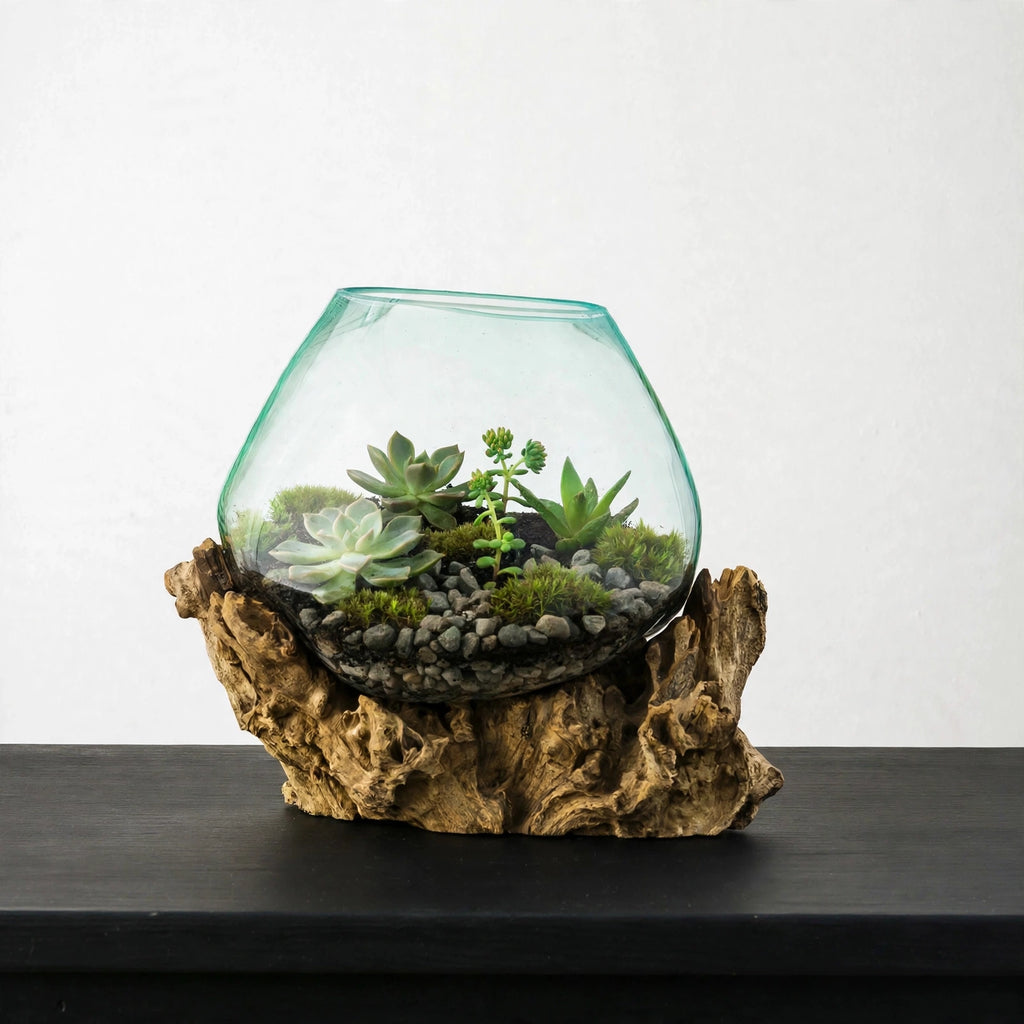Windsor Terrarium