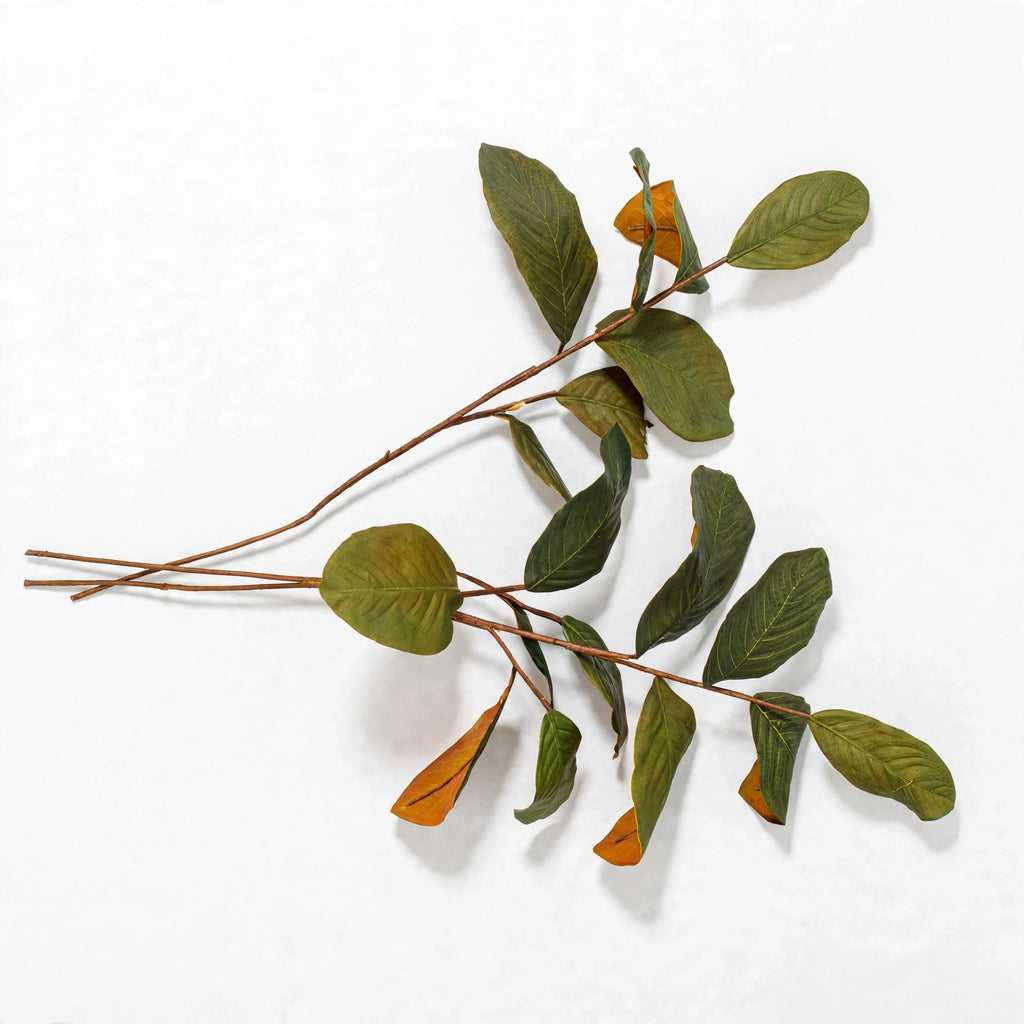 Edenderry Magnolia Branches