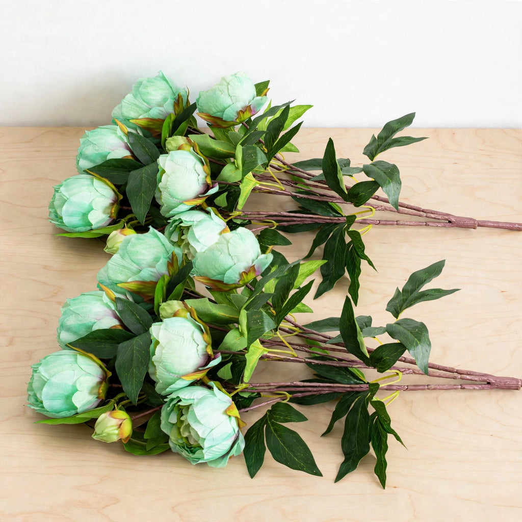 Thomastown Peony Flowers