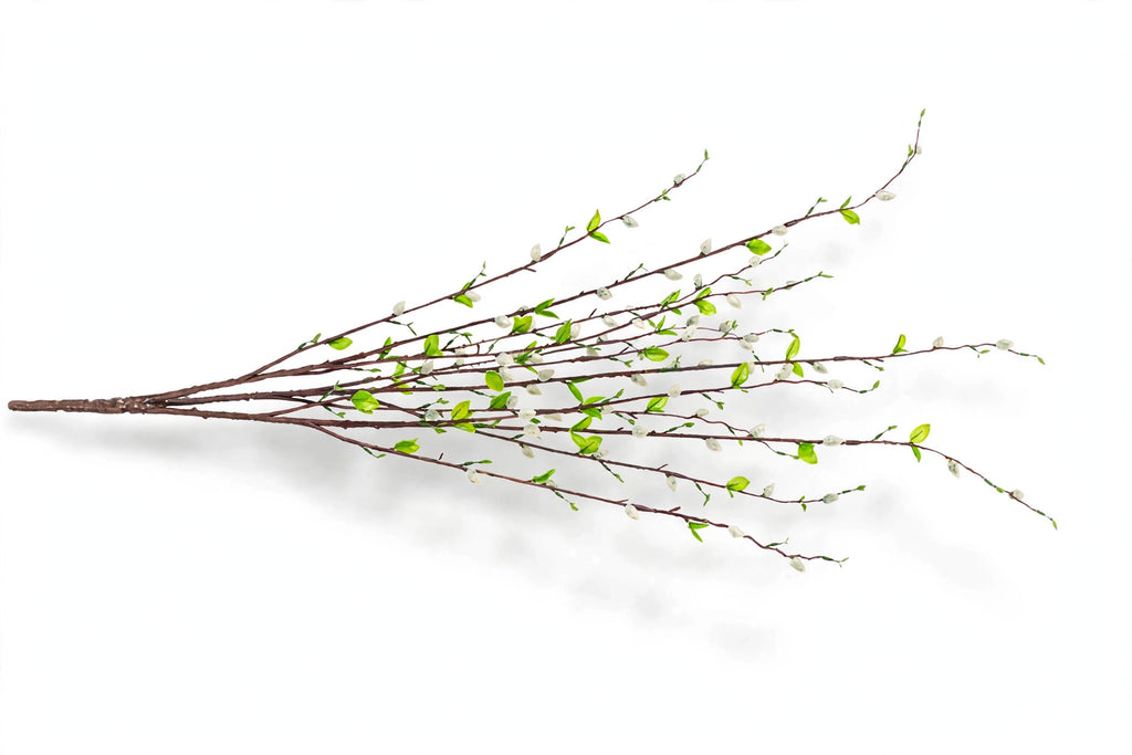 Borris Branches