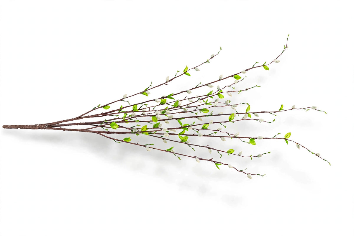Borris Branches