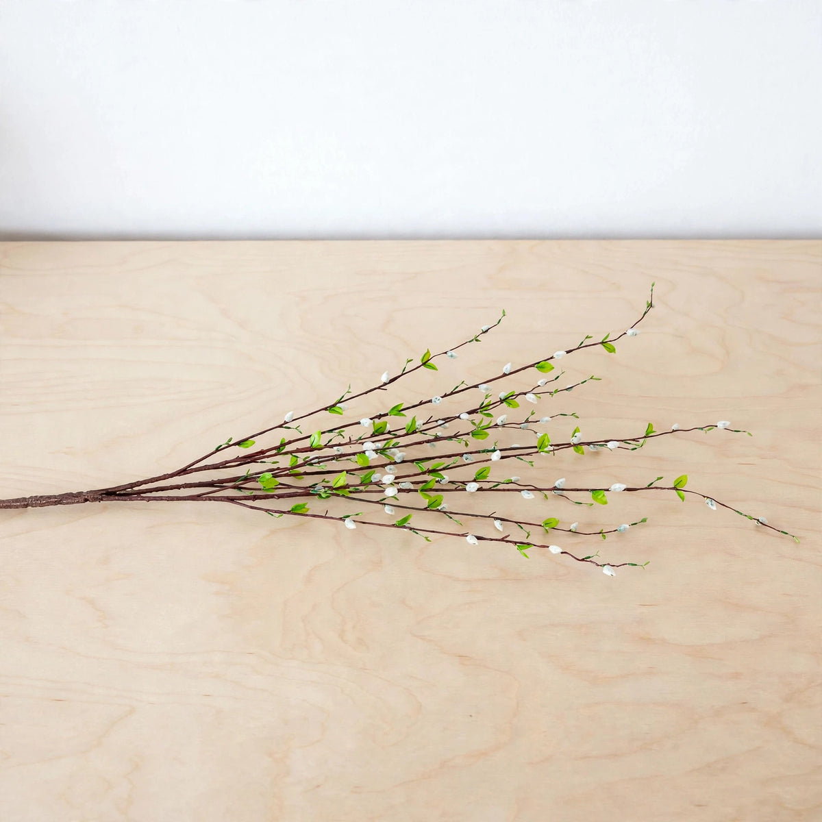 Borris Branches