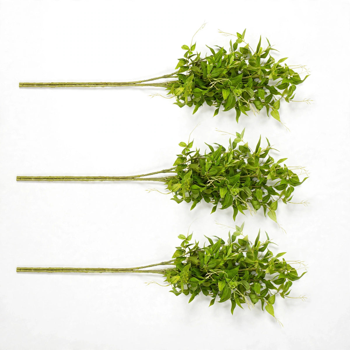 Blessington Leaf Stem