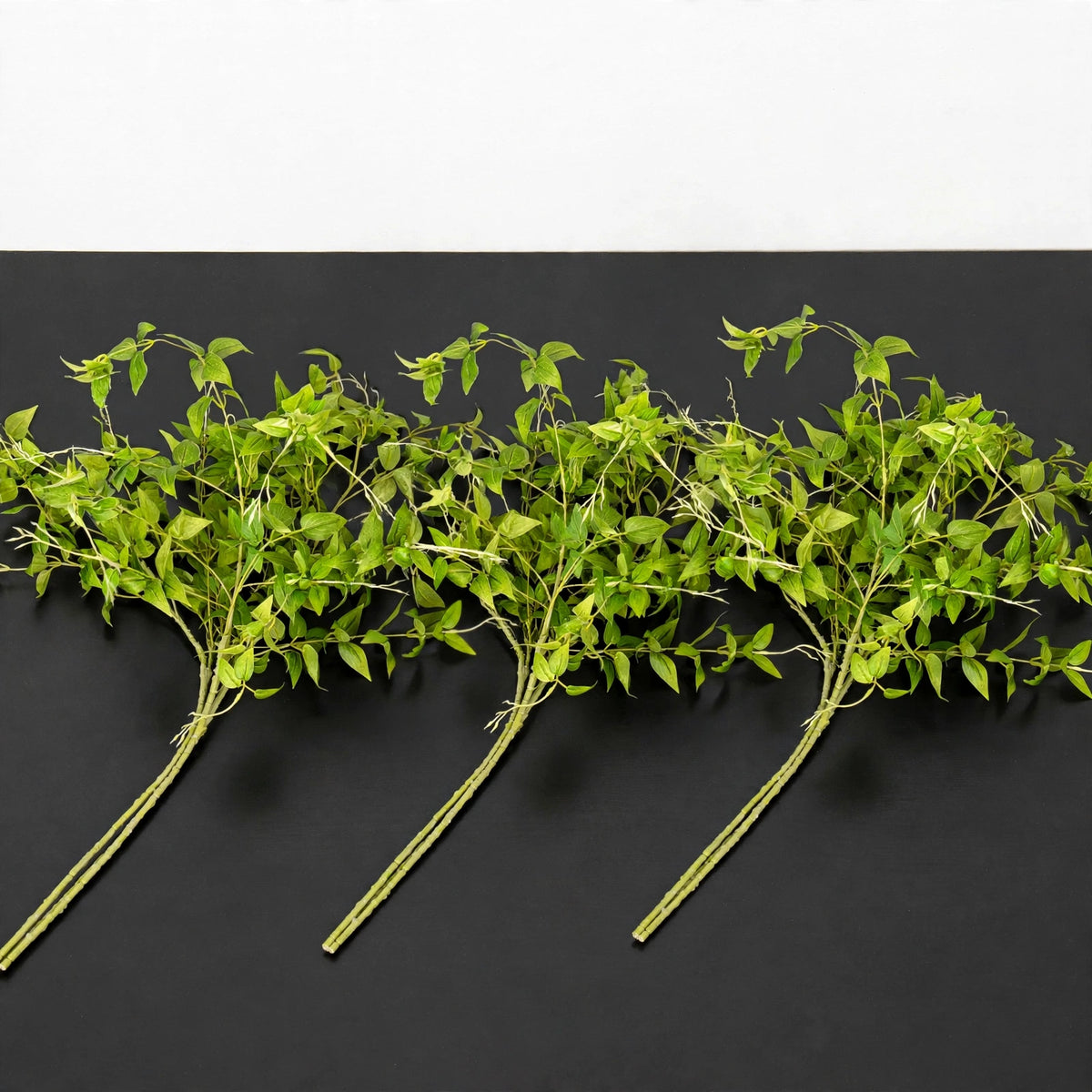 Blessington Leaf Stem