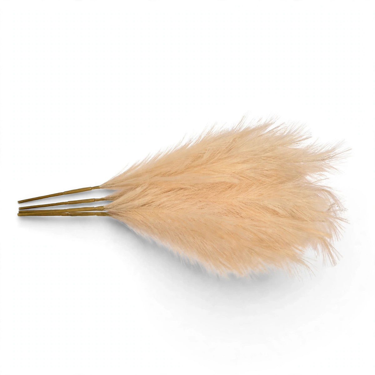 Bourton Stem