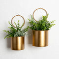 Chipping Crown Wall Planter Set