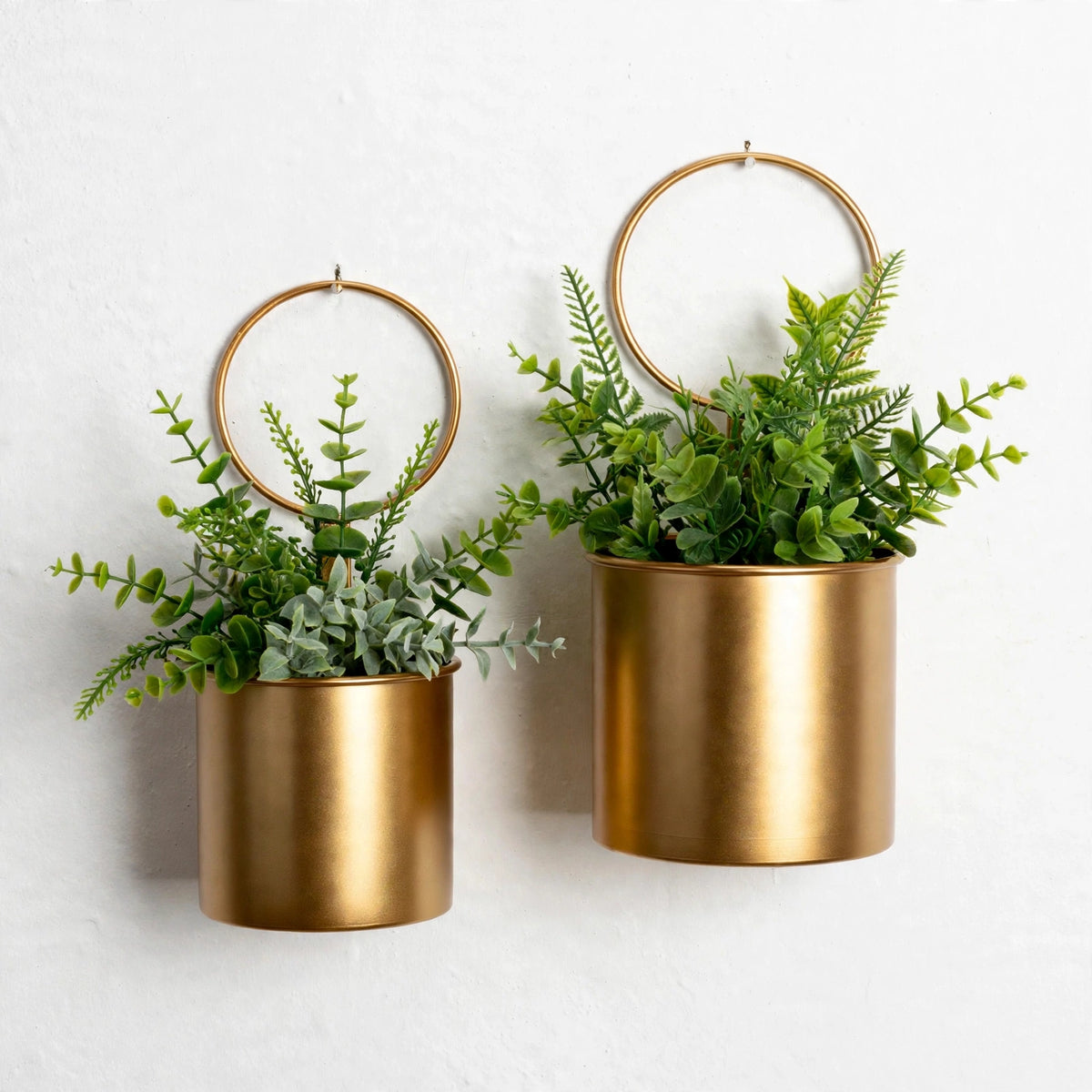 Chipping Crown Wall Planter Set