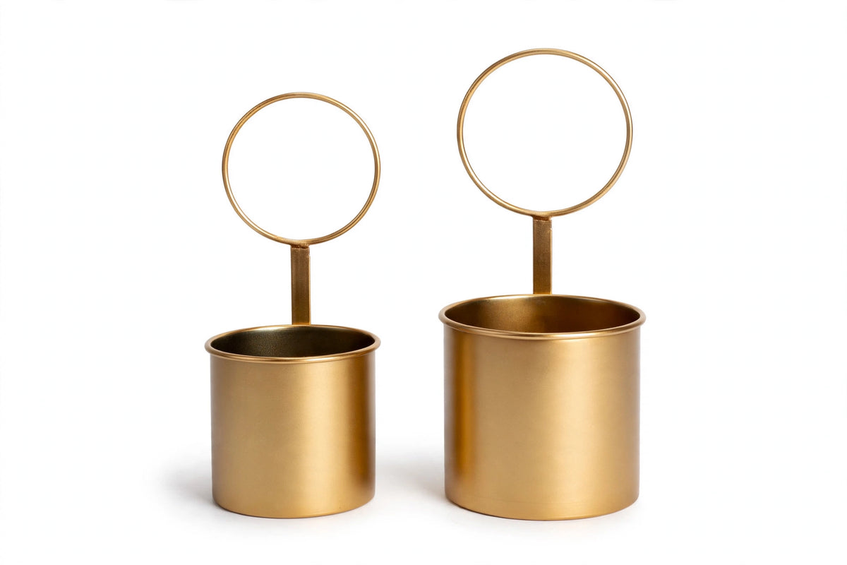 Chipping Crown Wall Planter Set